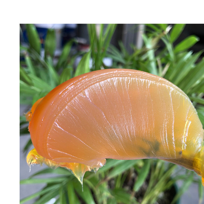 Grasso di base lubrificante composto a solfonato di calcio in colore giallo per prestazioni