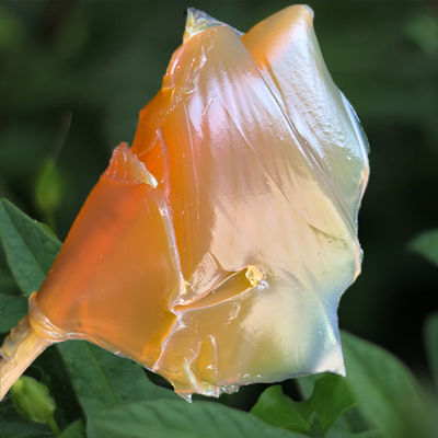 Composizione generale Grassi compositi a sulfonato di calcio per applicazioni industriali