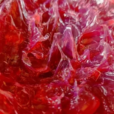 NSF ha approvato il grasso a sfera rosso complesso di litio per le applicazioni di perforazione e di estrazione
