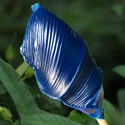Funzione Aumento della lubrificazione della catena di ingranaggi del cuscinetto con ruota di grasso blu trasparente